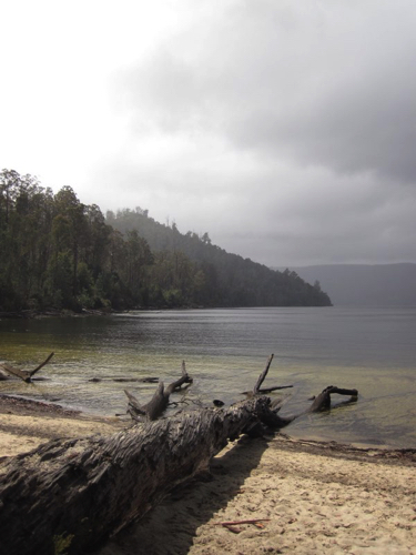 37 - Lake Saint Claire, Tasmania
