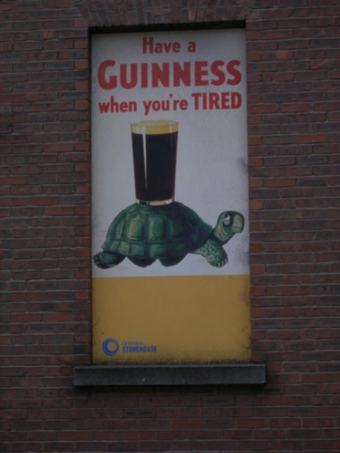 7 - Guiness Turtle