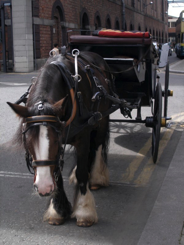 8 - Horse and Carriage
Dublin