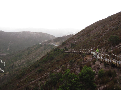 32 - The trail to Horseshoe Falls, Tasmania