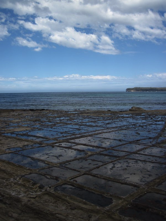 15- The tessellated pavement, Tasmania