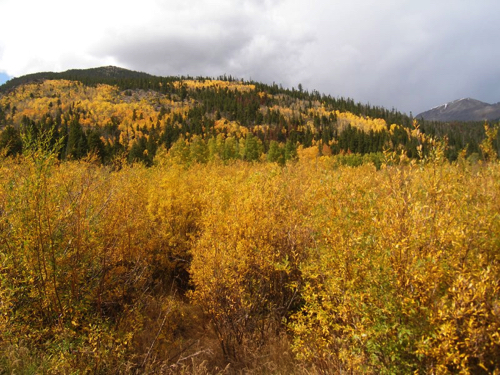 9 - Fall foliage in the mountains