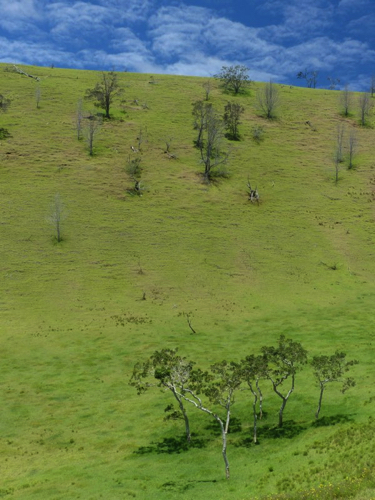 95 - Surreal Landscape, Pu’u Wa’a Wa’a, Hawaii