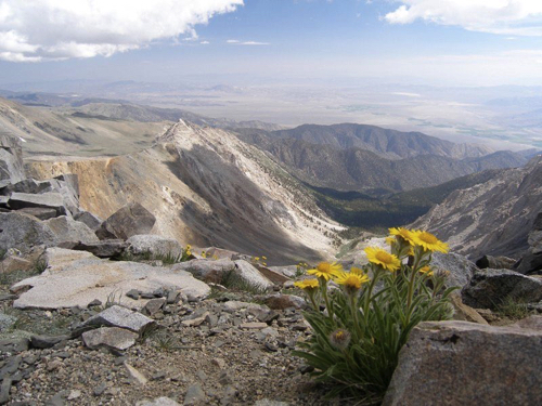 8 - View from White Mountain, CA