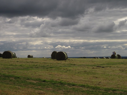 48 - Haystacks at the Hill of Tara