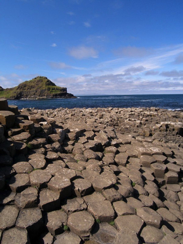 32 - Columnar Basalt, Giants Causeway, Bush