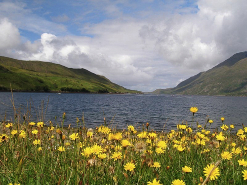 17 - Killary Fjord, Connemara